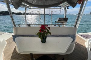cockpit, Knysna 480, catamaran for sale