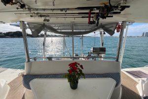 cockpit, Knysna 480, catamaran for sale