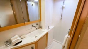 bath, Lagoon 450, catamaran for sale