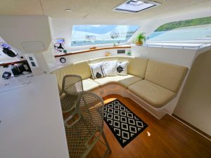 salon, Voyage 480, catamaran for sale
