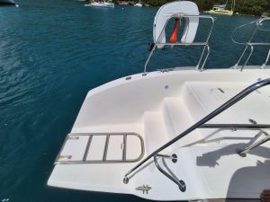 deck, Voyage 480, catamaran for sale