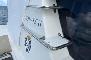 exterior, Leopard 45, catamaran for sale