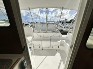 cockpit, Gemini 105, catamaran for sale