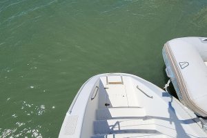 deck, Privilege 435, catamaran for sale