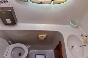bath, Privilege 435, catamaran for sale