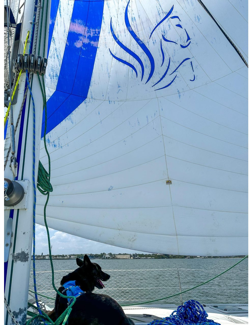 underway, Privilege 435, catamaran for sale