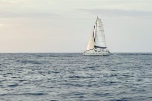 underway, Privilege 435, catamaran for sale