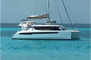 exterior, Leopard 50, catamaran for sale