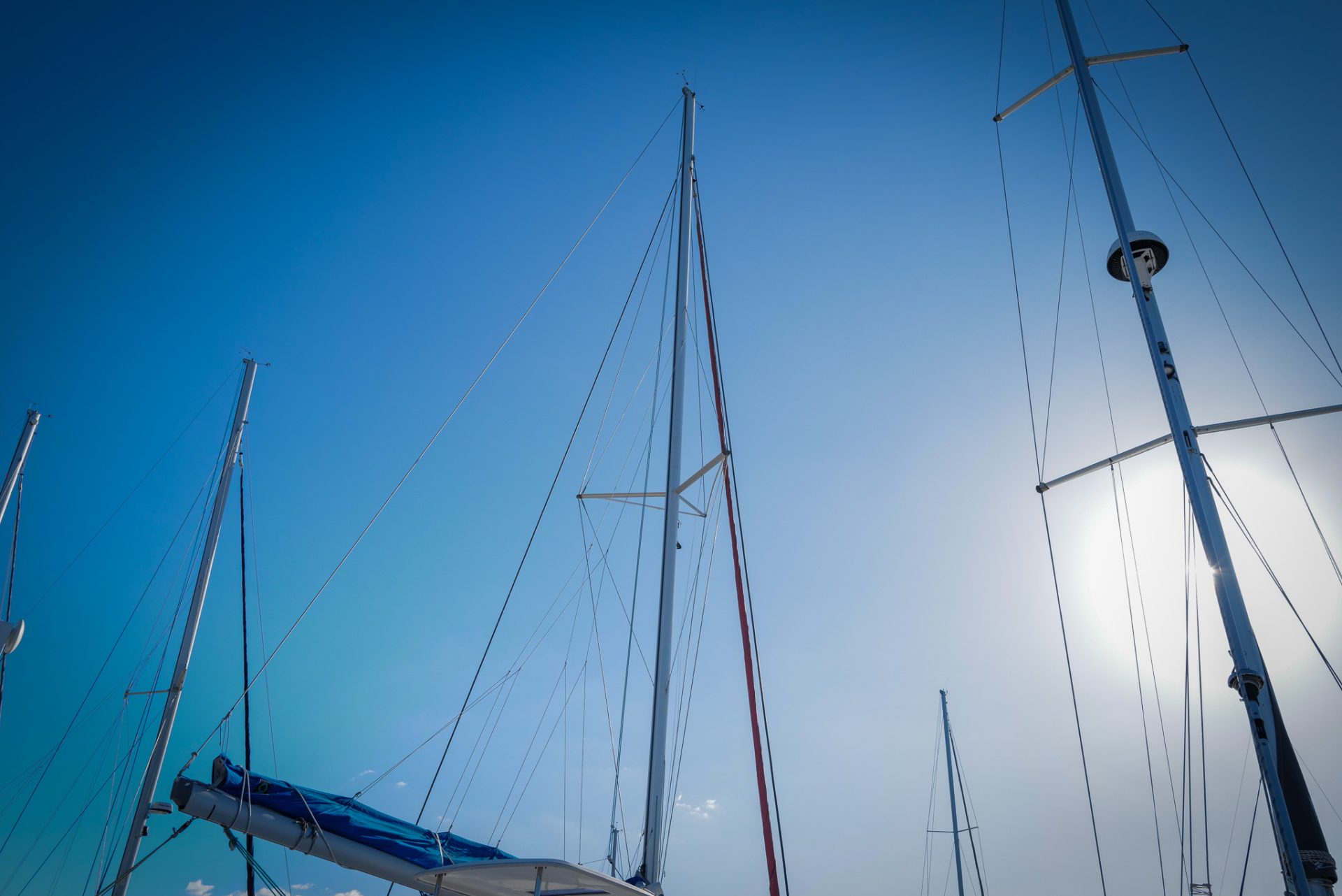 2012 Leopard 44