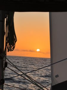 cockpit, FP 44 Helia, catamaran for sale