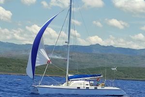 exterior, Naval Force 3, catamaran for sale