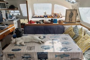 salon, Naval Force 3, catamaran for sale