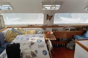 salon, Naval Force 3, catamaran for sale