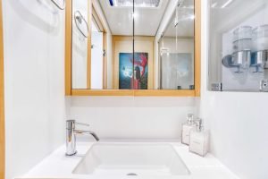 bath, Lagoon 560, catamaran for sale
