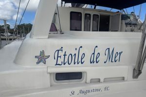 exterior, Leopard 42, catamaran for sale
