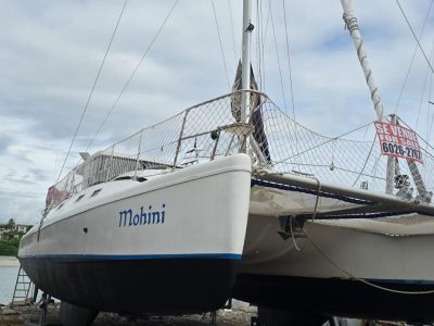 Fortuna 401 Island Spirit