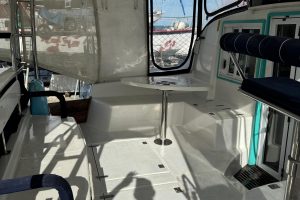 cockpit, Fortuna 401 Island Spirit, catamaran for sale