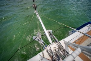 deck, Privilege 510, catamaran for sale