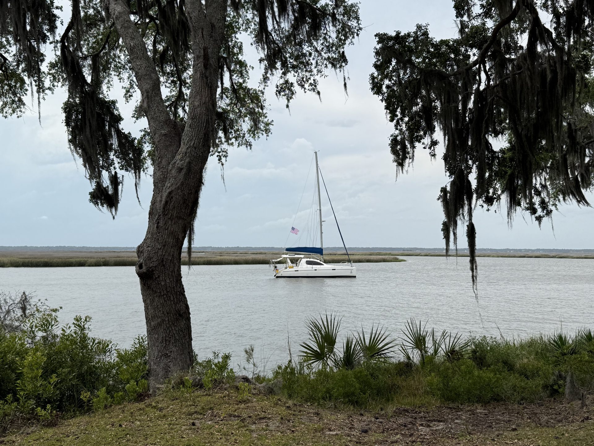 2006 Leopard 40
