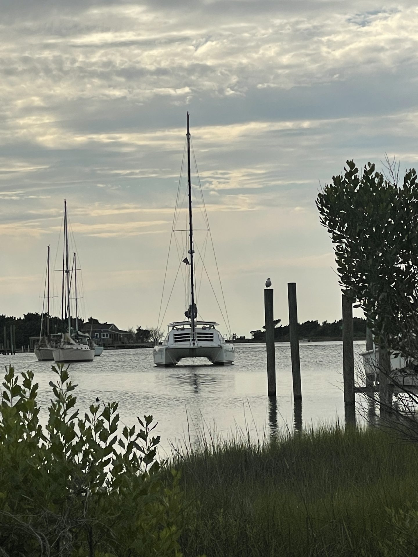 2006 Leopard 40