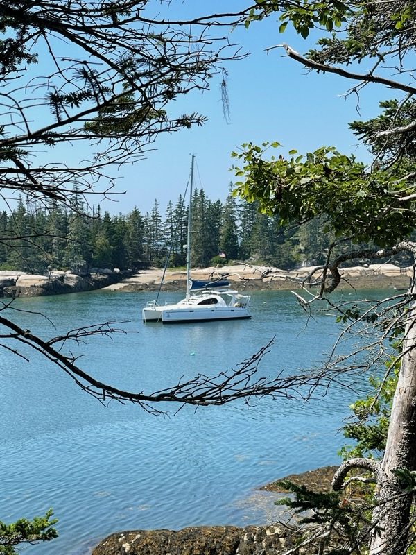 2006 Leopard 40