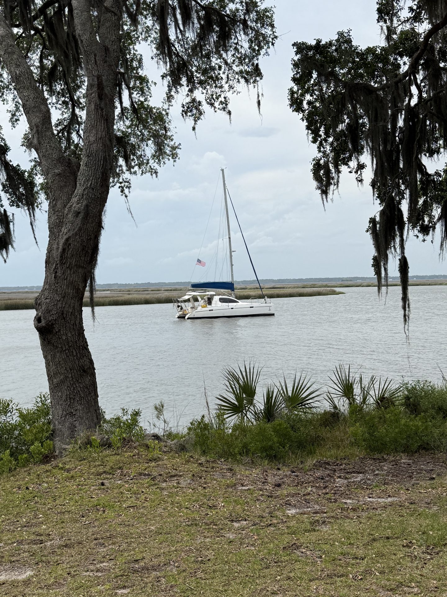 2006 Leopard 40