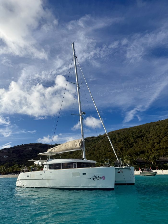 exterior, Lagoon 450, catamaran for sale