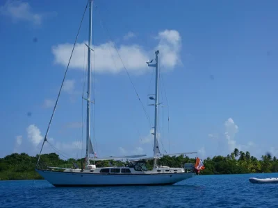 Islander 55
