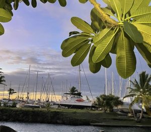 exterior, Leopard 47, catamaran for sale
