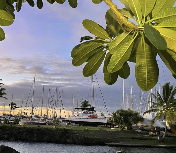 exterior, Leopard 47, catamaran for sale