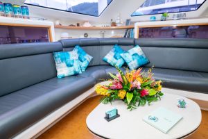 salon, Voyage 500, catamaran for sale