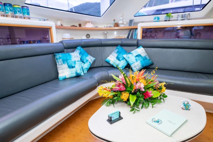 salon, Voyage 500, catamaran for sale