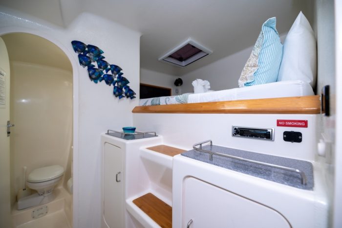 bed, Voyage 500, catamaran for sale