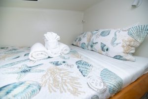 bed, Voyage 500, catamaran for sale