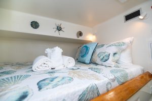 bed, Voyage 500, catamaran for sale