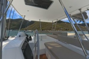cockpit, Bali 4.6, catamaran for sale