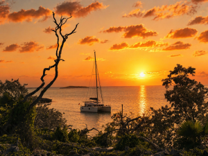 exterior, Lagoon 400, catamaran for sale