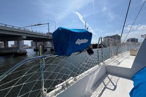 deck, Leopard 40, catamaran for sale