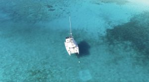 exterior, Leopard 40, catamaran for sale