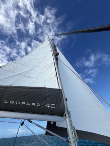 deck, Leopard 40, catamaran for sale