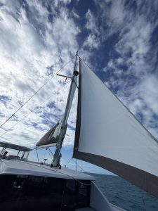 deck, Leopard 40, catamaran for sale