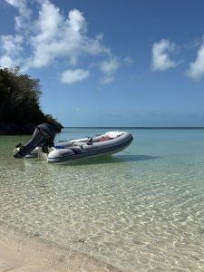 exterior, Leopard 40, catamaran for sale