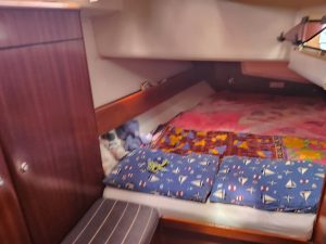 bed, Bavaria 44, sailboat for sale
