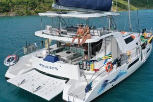 cockpit, Royal Cape 570 Majestic, catamaran for sale