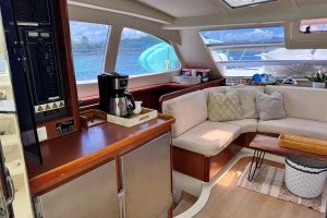 salon, Leopard 46, catamaran for sale
