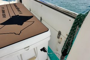deck, Leopard 46, catamaran for sale