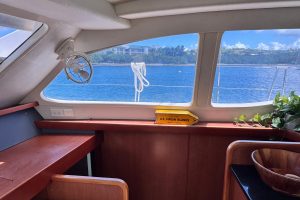 salon, Leopard 46, catamaran for sale