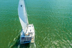 exterior, Leopard 45, catamaran for sale