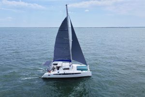 underway, Dolphin 460, catamaran for sale