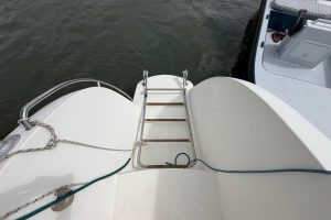 deck, Dolphin 460, catamaran for sale